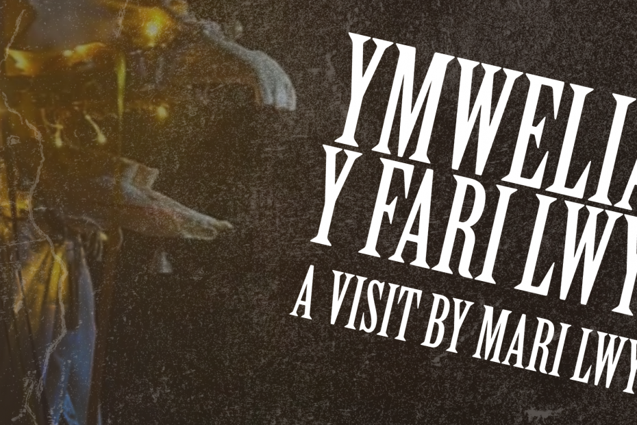 Ymweliad y Fari Lwyd